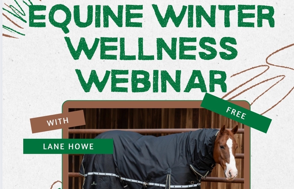 Equine Wellness Event