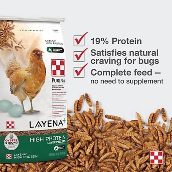 content/products/Purina Layena Pellet High Protein Layer Feed 40 lb. chart