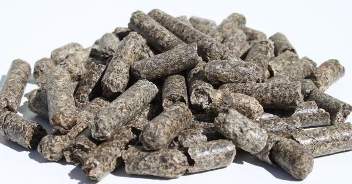 content/products/beet pulp pellets