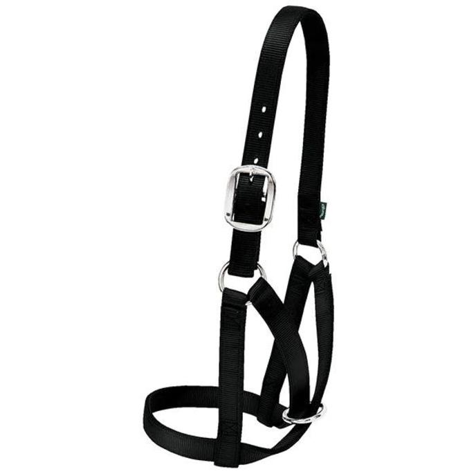 content/products/cow halter black