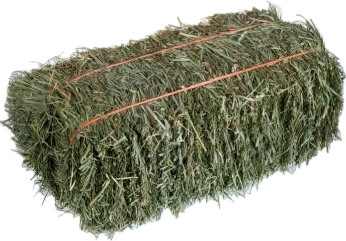 content/products/grass hay