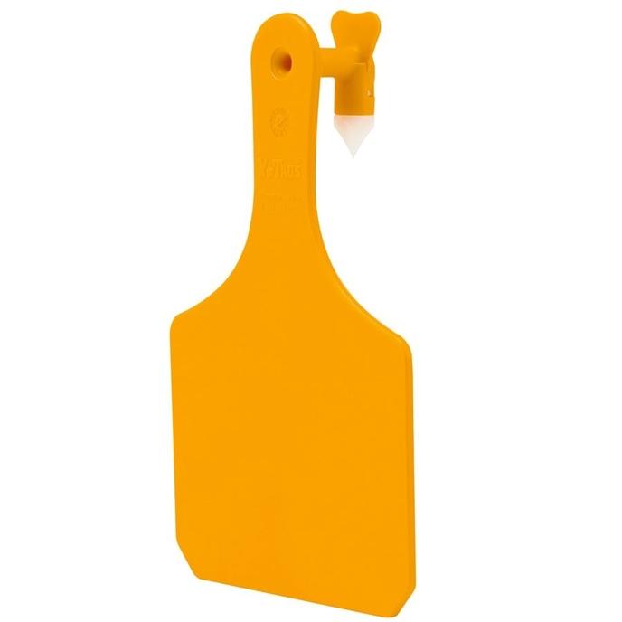 content/products/Orange