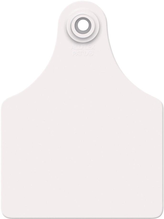 content/products/GLF GSM-W