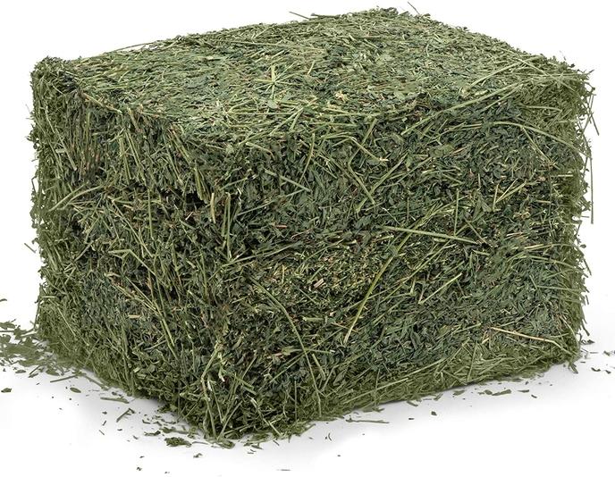 content/products/Alfalfa bales for horses and livestock can be an excellent source of calories for those who need help in gaining weight, or whose exercise demands require additional energy sources. Alfalfa hay offers an excellent source of protein, vitamin A, and calcium levels that can reduce the risk of stomach ulcers.