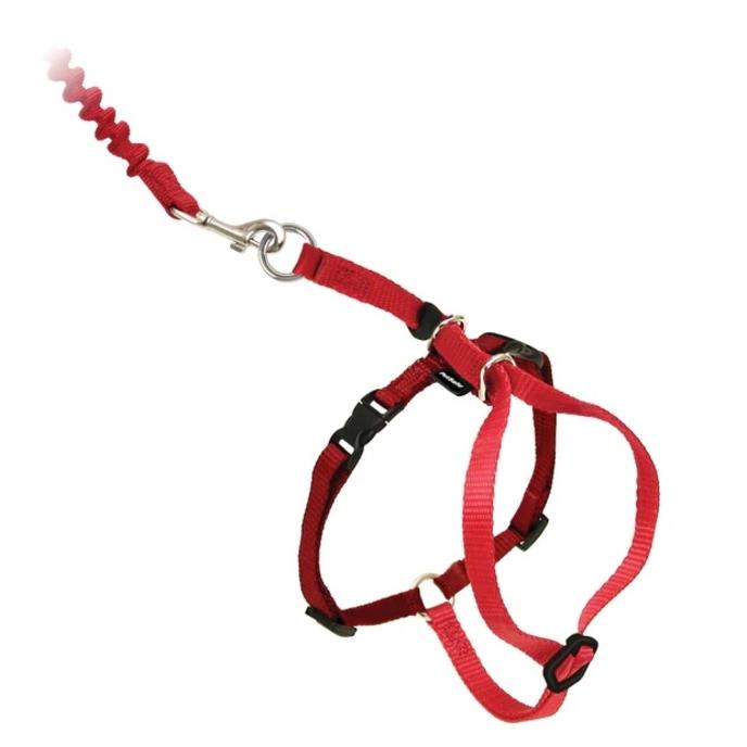 content/products/Red