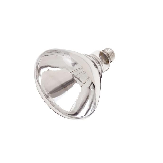 content/products/HEAT LAMP CLEAR 250W BULB