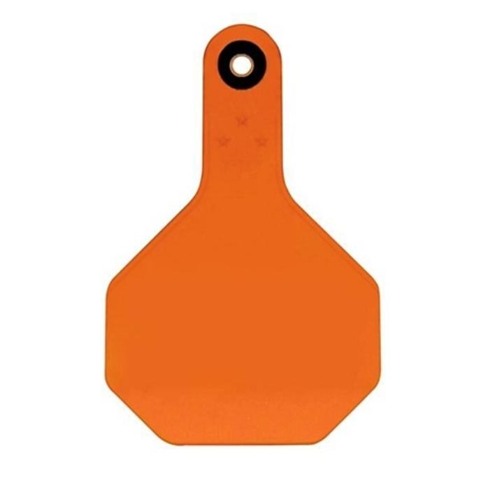 content/products/Y-TEX 3 BLANK ORANGE 25CT