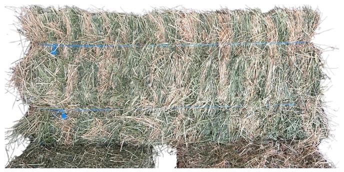 content/products/alfalfa hay bale