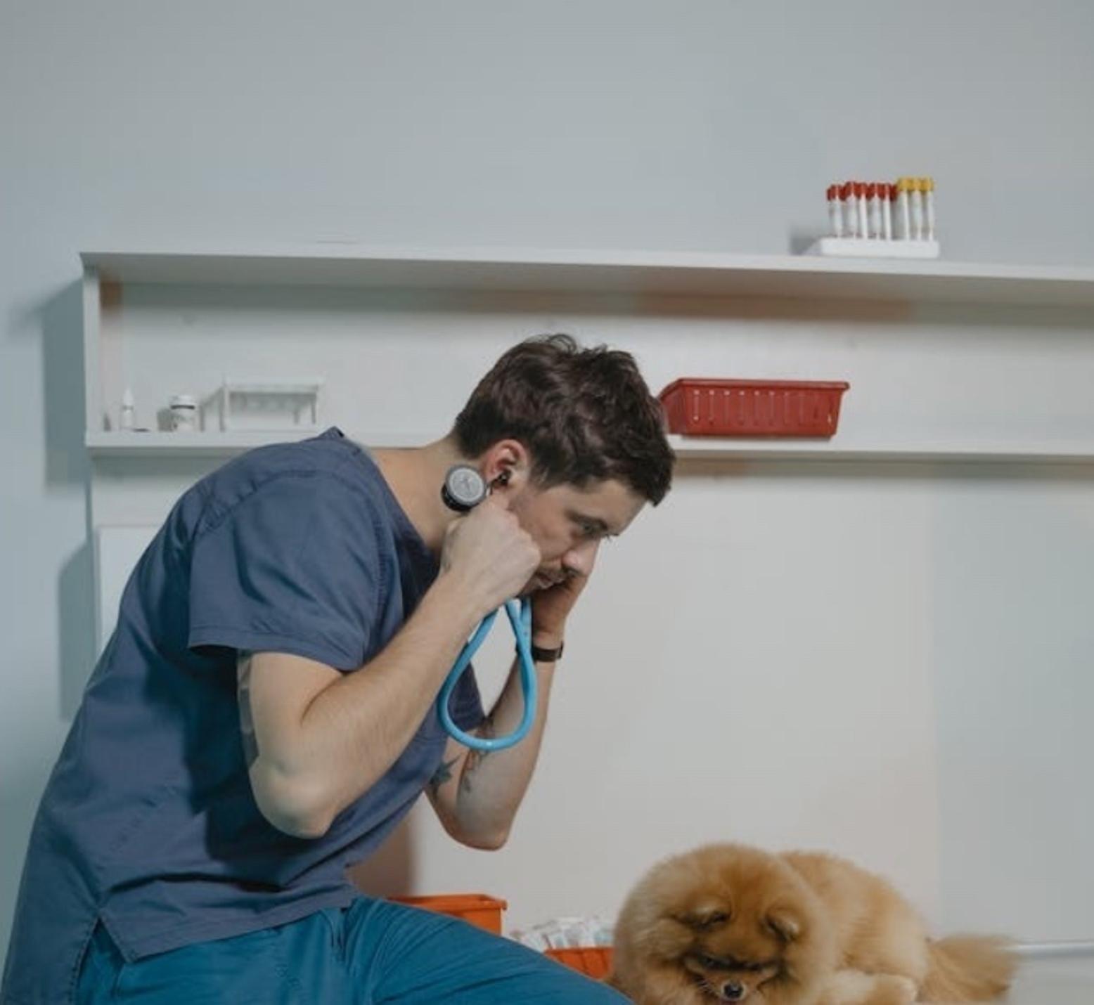 Veterinary technician talking on phone